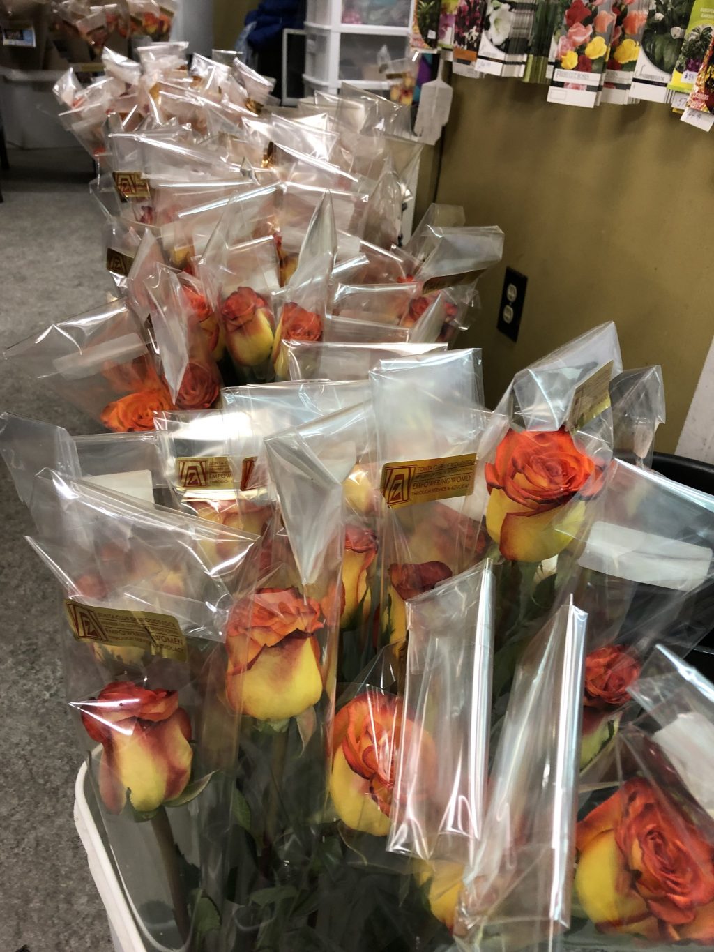 Woodstock Roses Wrapped & Ready for Delivery